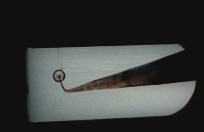 Just coming to the nozzle